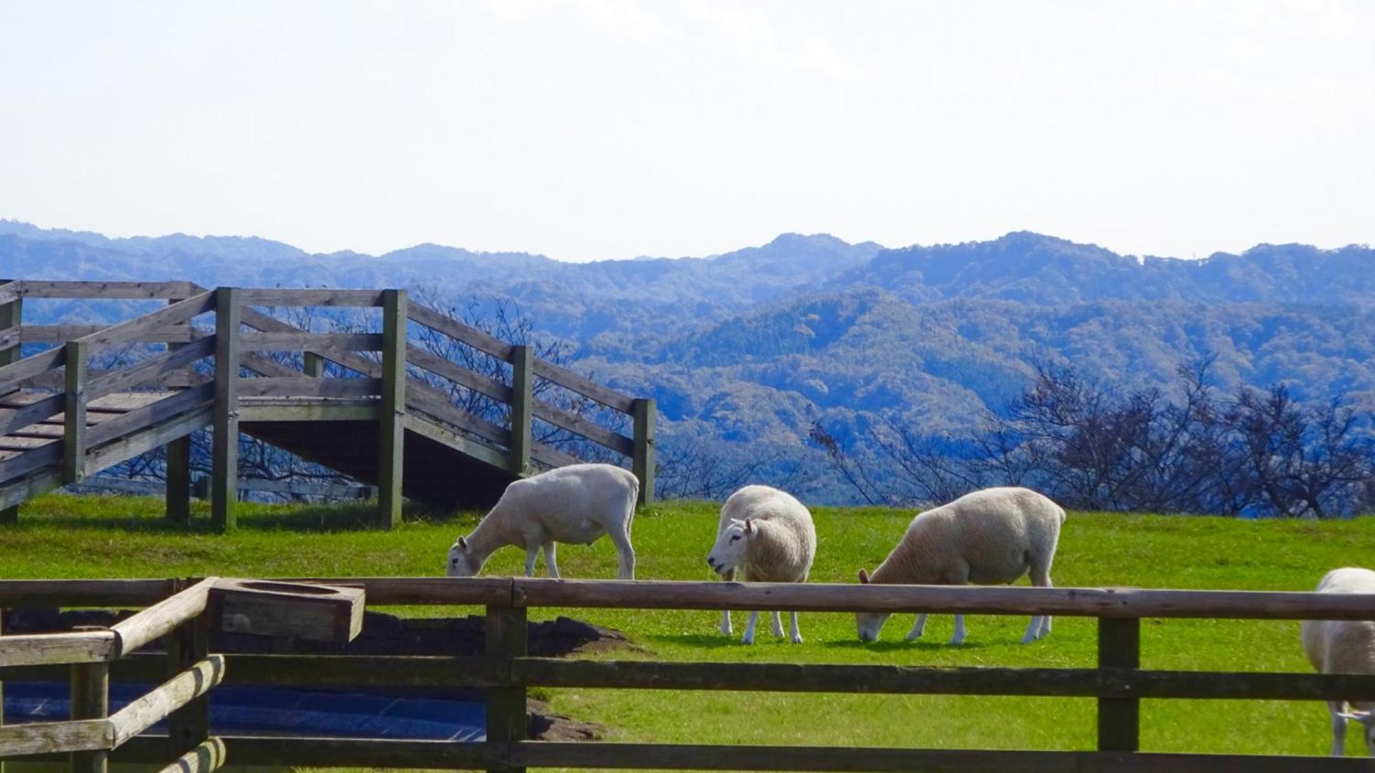 Toyoko Inn Sodegaura Eki Kita Guchi Esterno foto